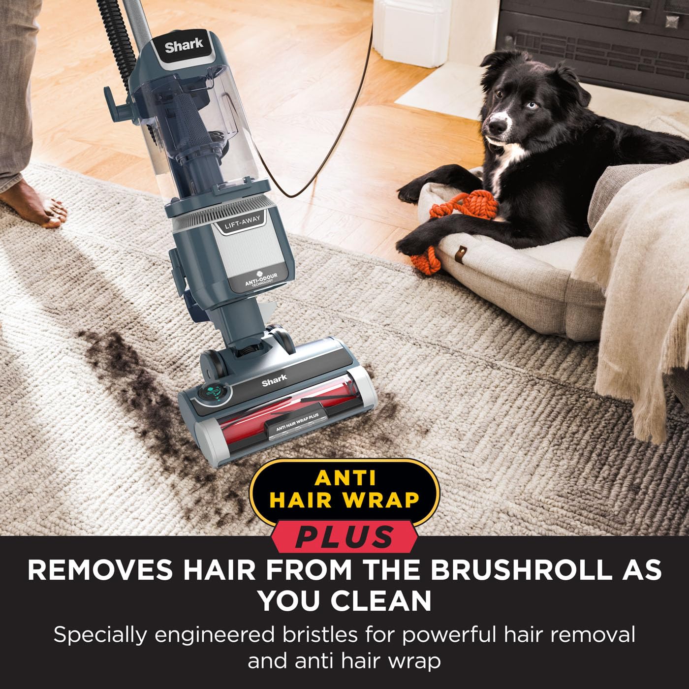 Shark Anti Hair Wrap Plus Upright Corded Pet Vacuum - 2.5L Capacity | Anti-Allergen Seal | 3.4 kg 3
