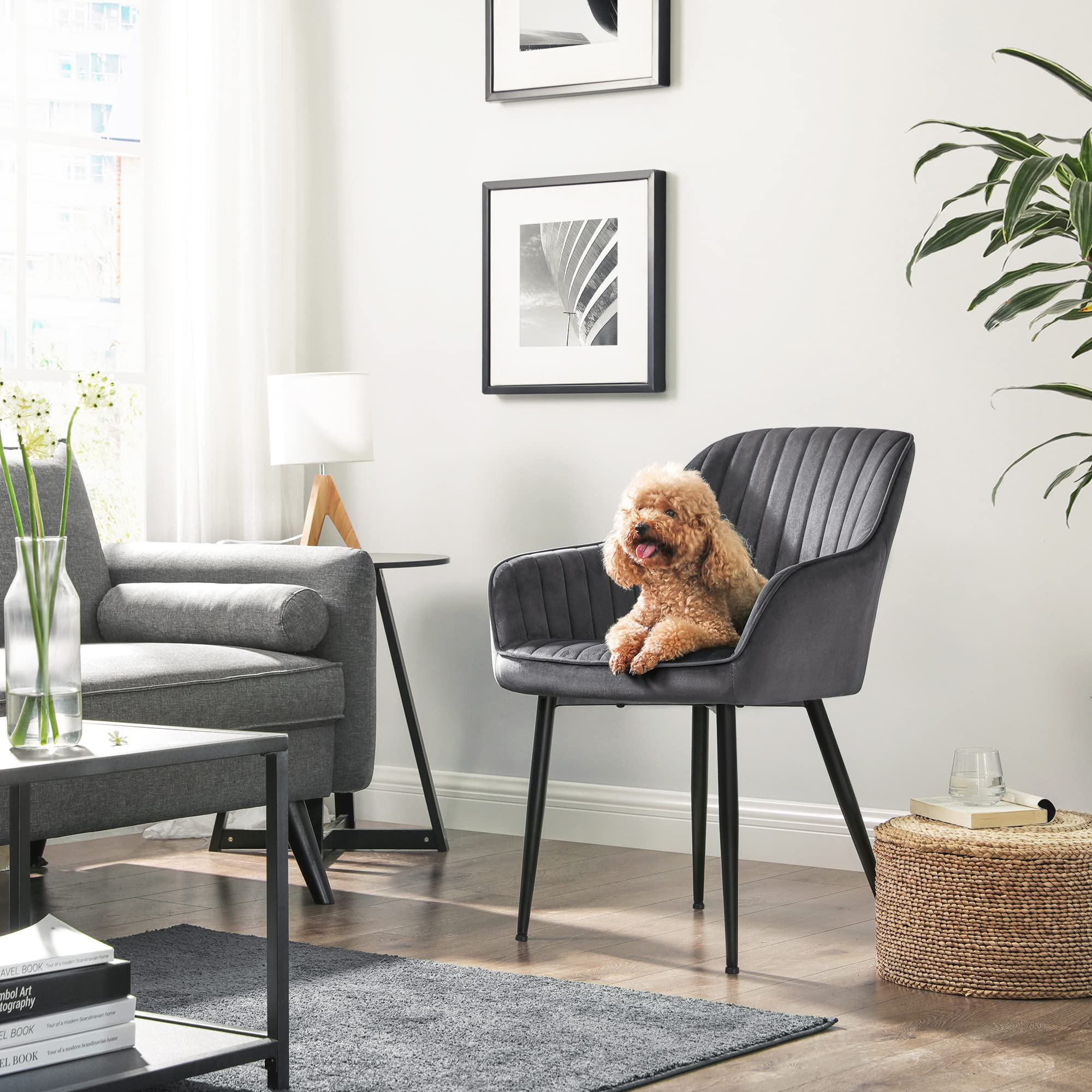SONGMICS Upholstered Armchair - 49cm Wide Seat | Velvet Upholstery | Supports 110 kg 5