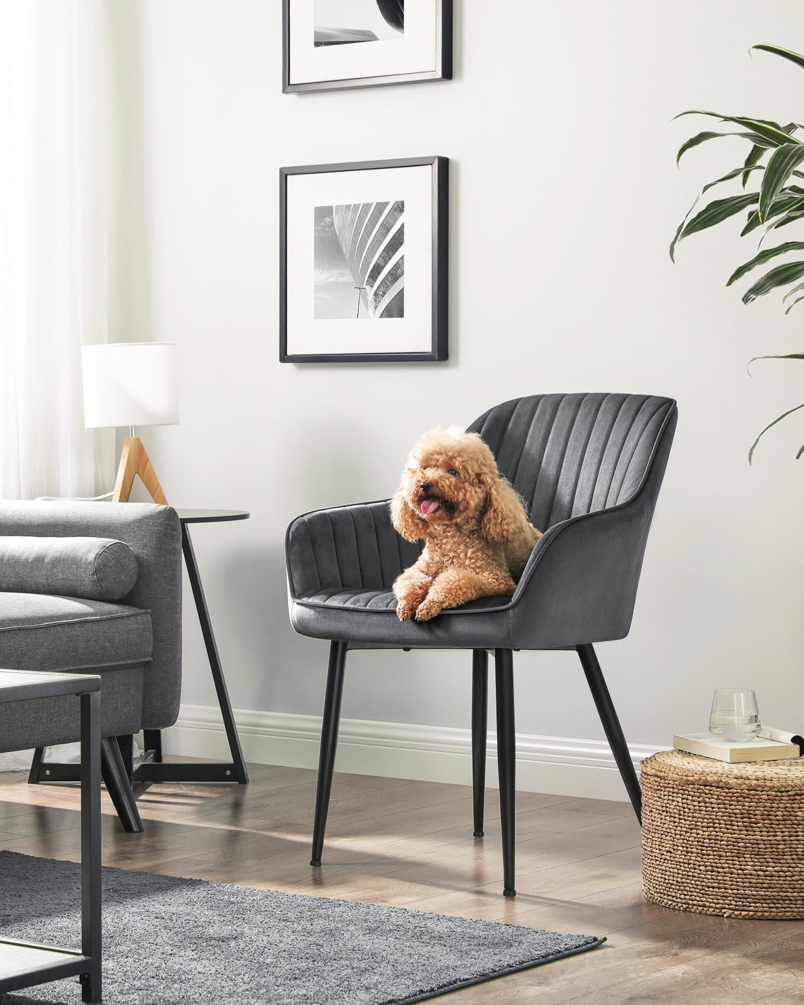SONGMICS Upholstered Armchair - 49cm Wide Seat | Velvet Upholstery | Supports 110 kg 4