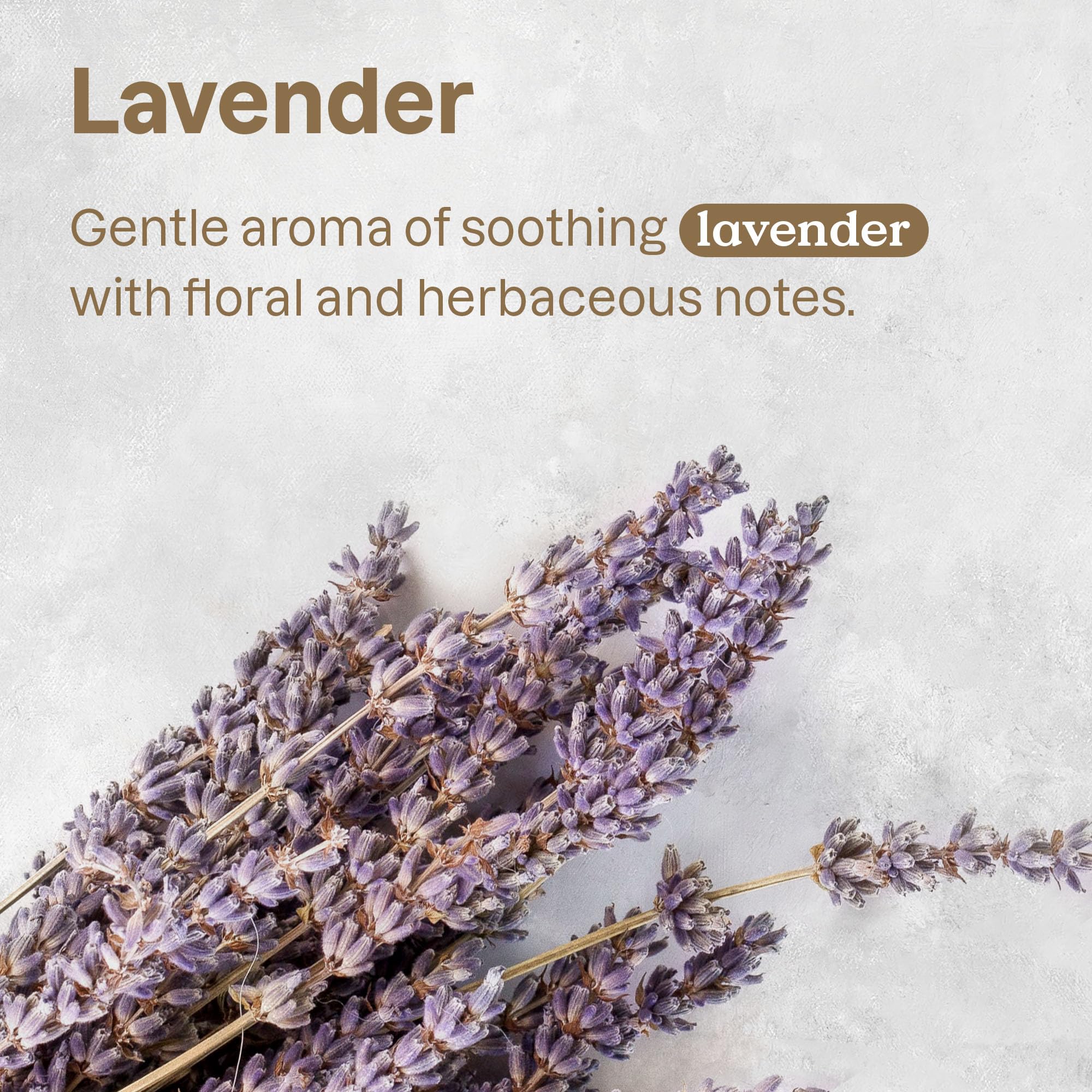 ATTITUDE Air Purifier with Activated Carbon Filter - Lavender Scent | 8 Ounce 4