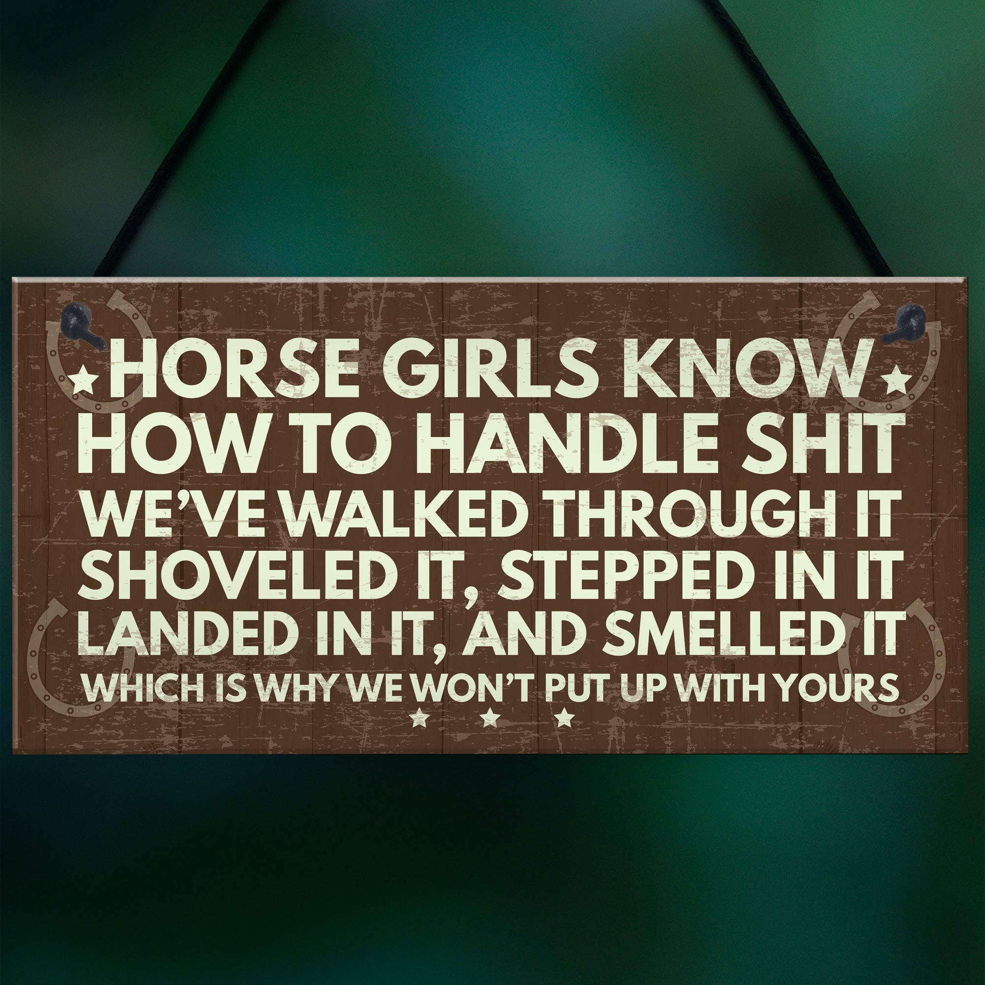 RED OCEAN Funny Horse Hanging Plaque Sign | PVC | 200x100mm | Multicolor 5