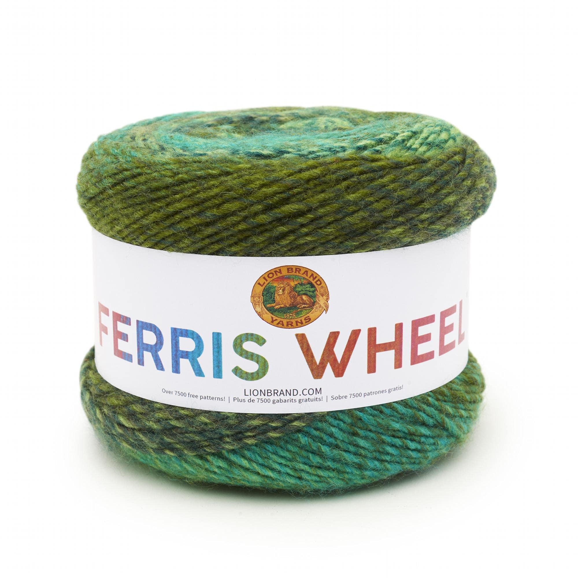 Lion Brand Yarn Ferris Wheel Yarn - 100% Acrylic Worsted Weight | Evergreen | 270 yd 1