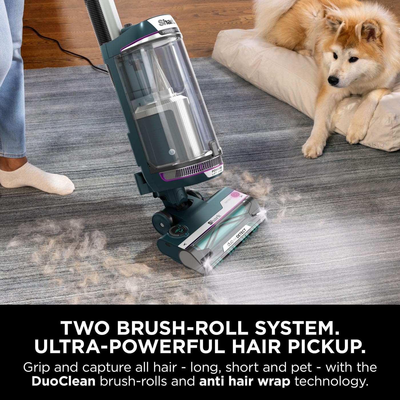 Shark PowerDetect Corded Upright Vacuum Cleaner - DuoClean Detect, Reverse Clean, Anti-Odour | 750W, 1.3L 9