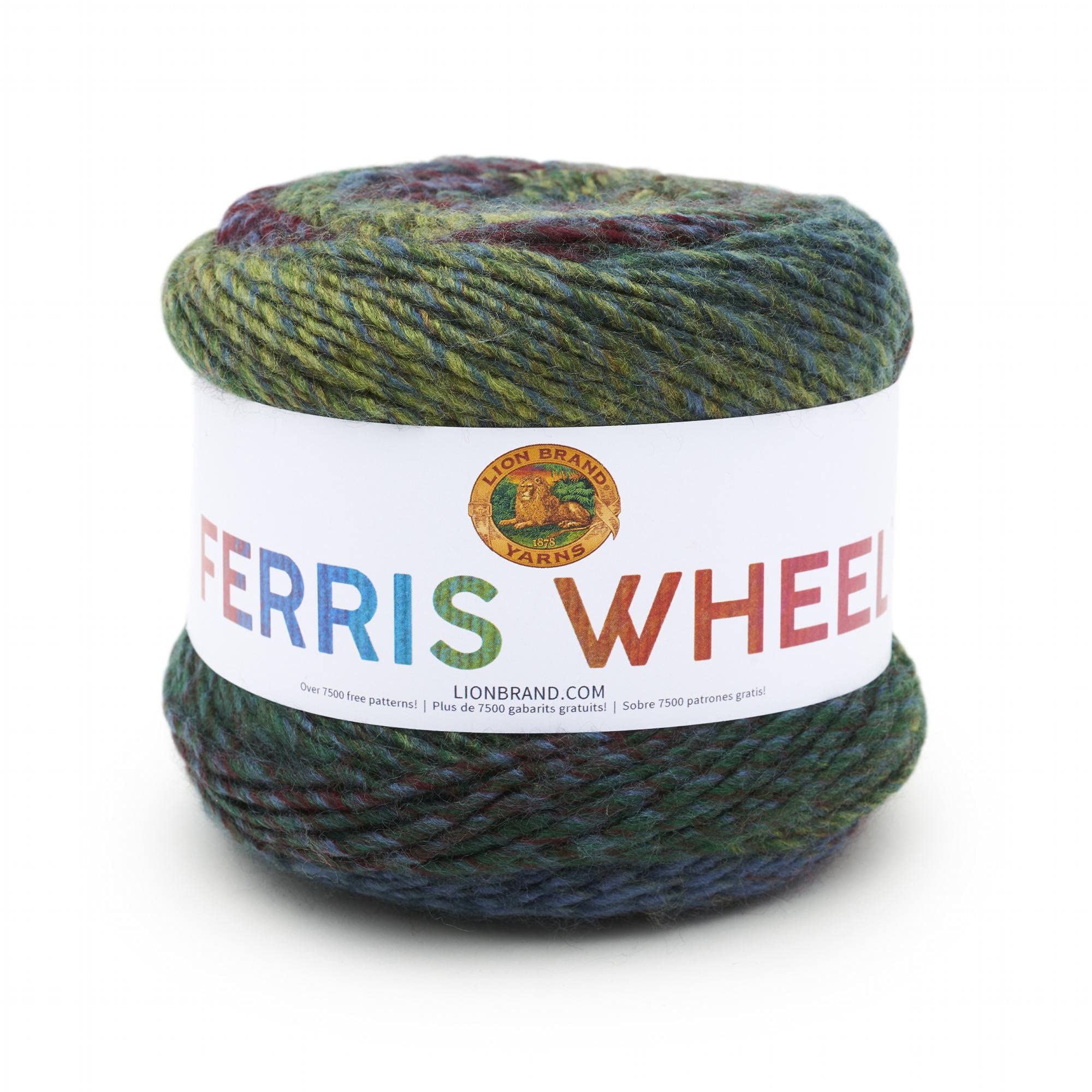 Lion Brand Yarn Ferris Wheel Roving Yarn - Imaginary Garden | 1 Pack Aran Weight 100% Acrylic