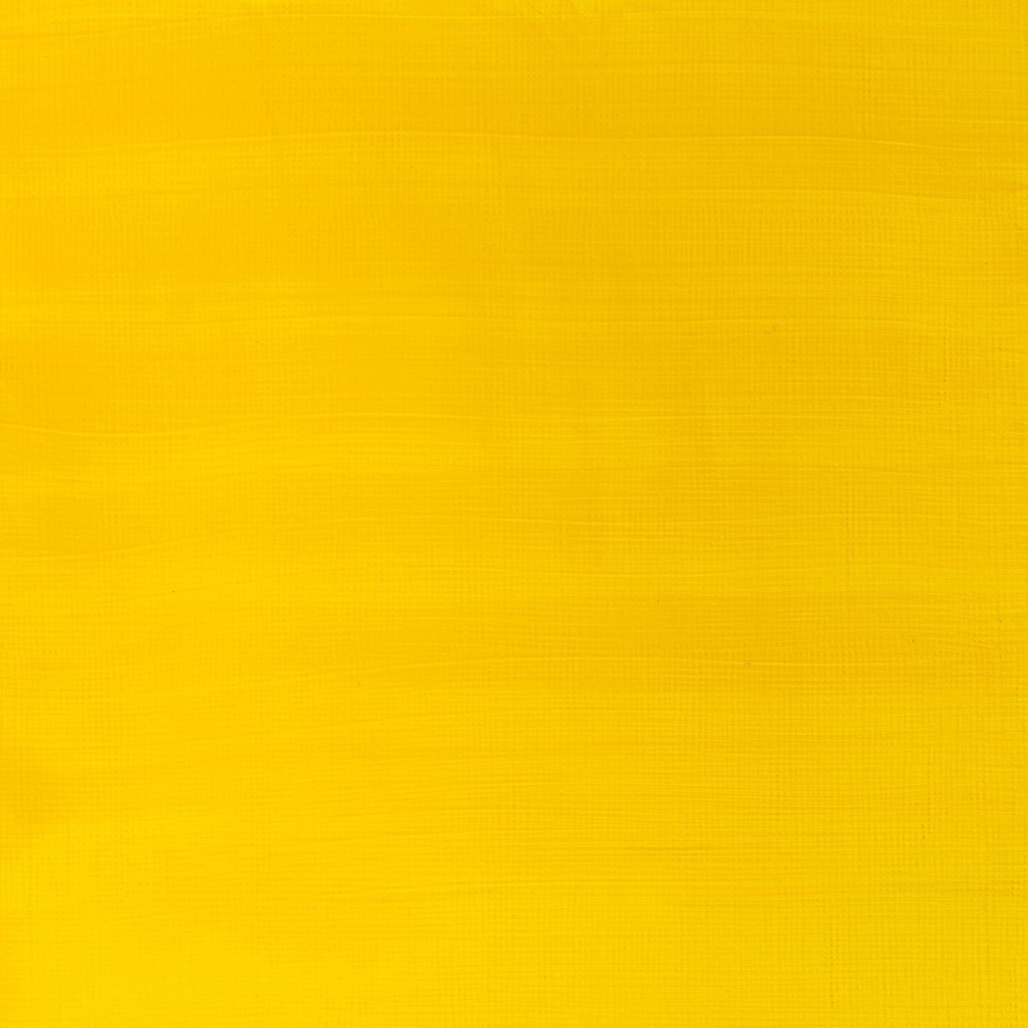 Winsor & Newton Galeria Acrylic Paint - Cadmium Yellow Medium Hue | 500ml Liquid Bottle 3