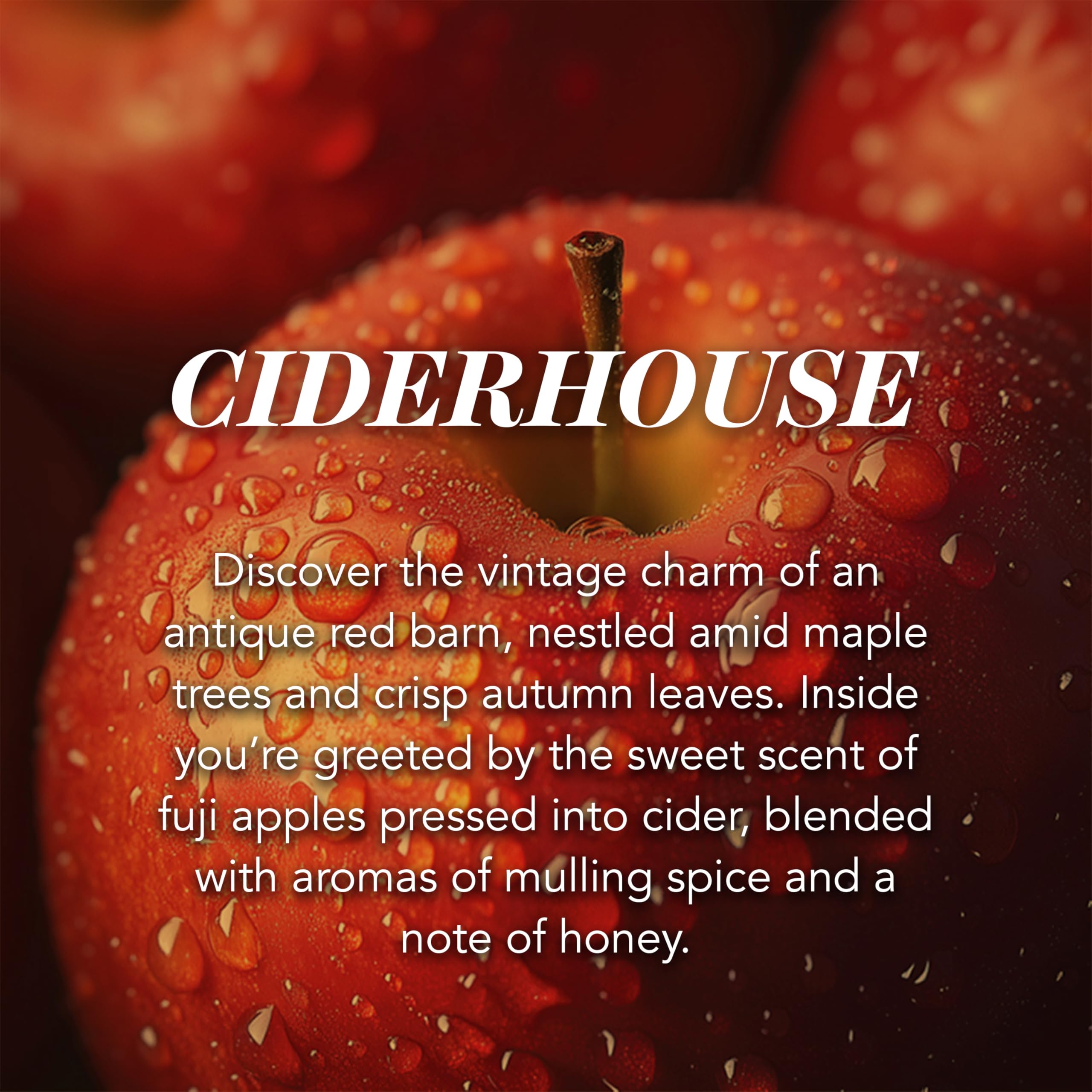 Yankee Candle Scented Candle - Ciderhouse Large Jar | Up to 150 Hours Burn Time | 623g 2