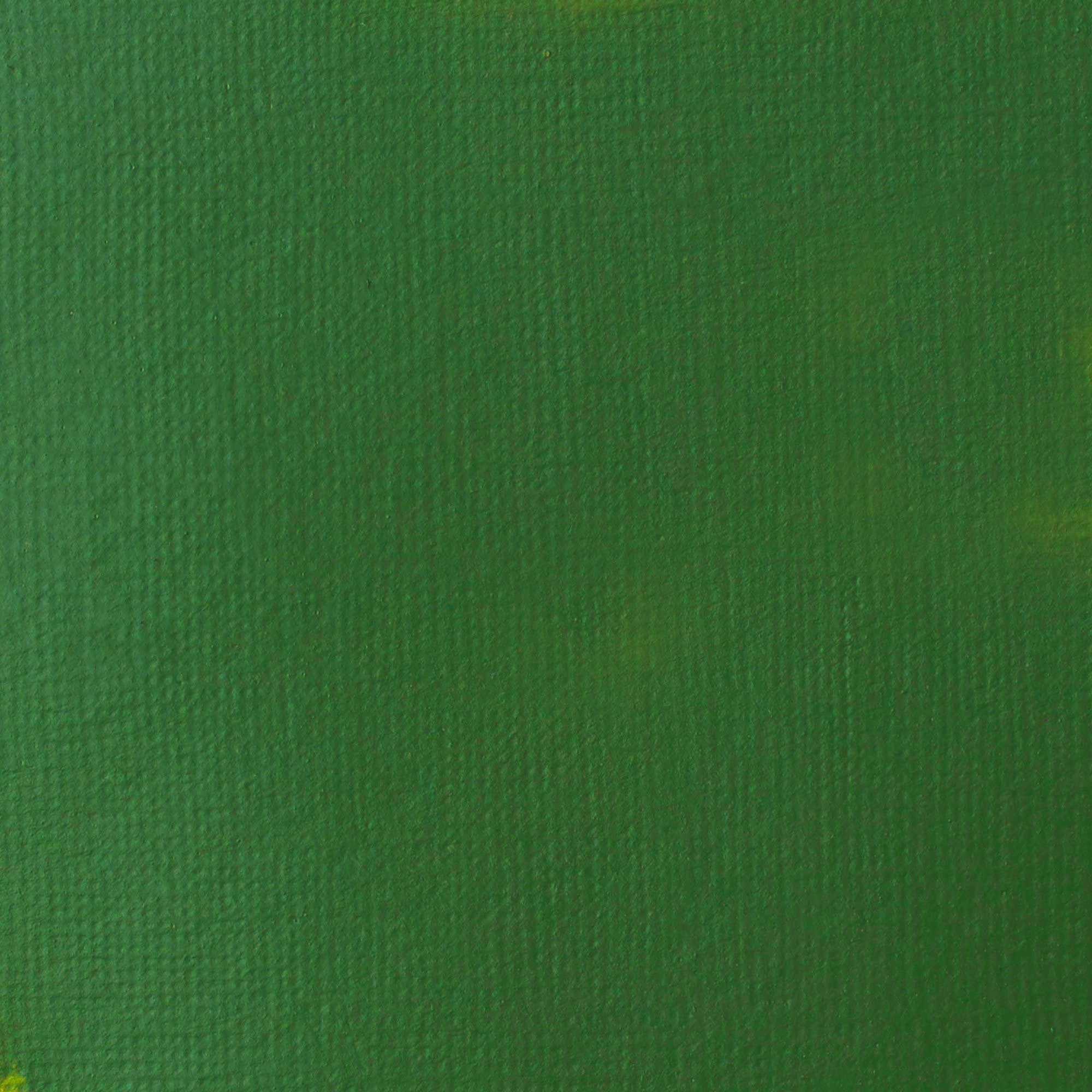 Liquitex Basics Acrylic Paint - Hooker's Green Permanent Hue | 118 ml Tube | Artist Quality 2