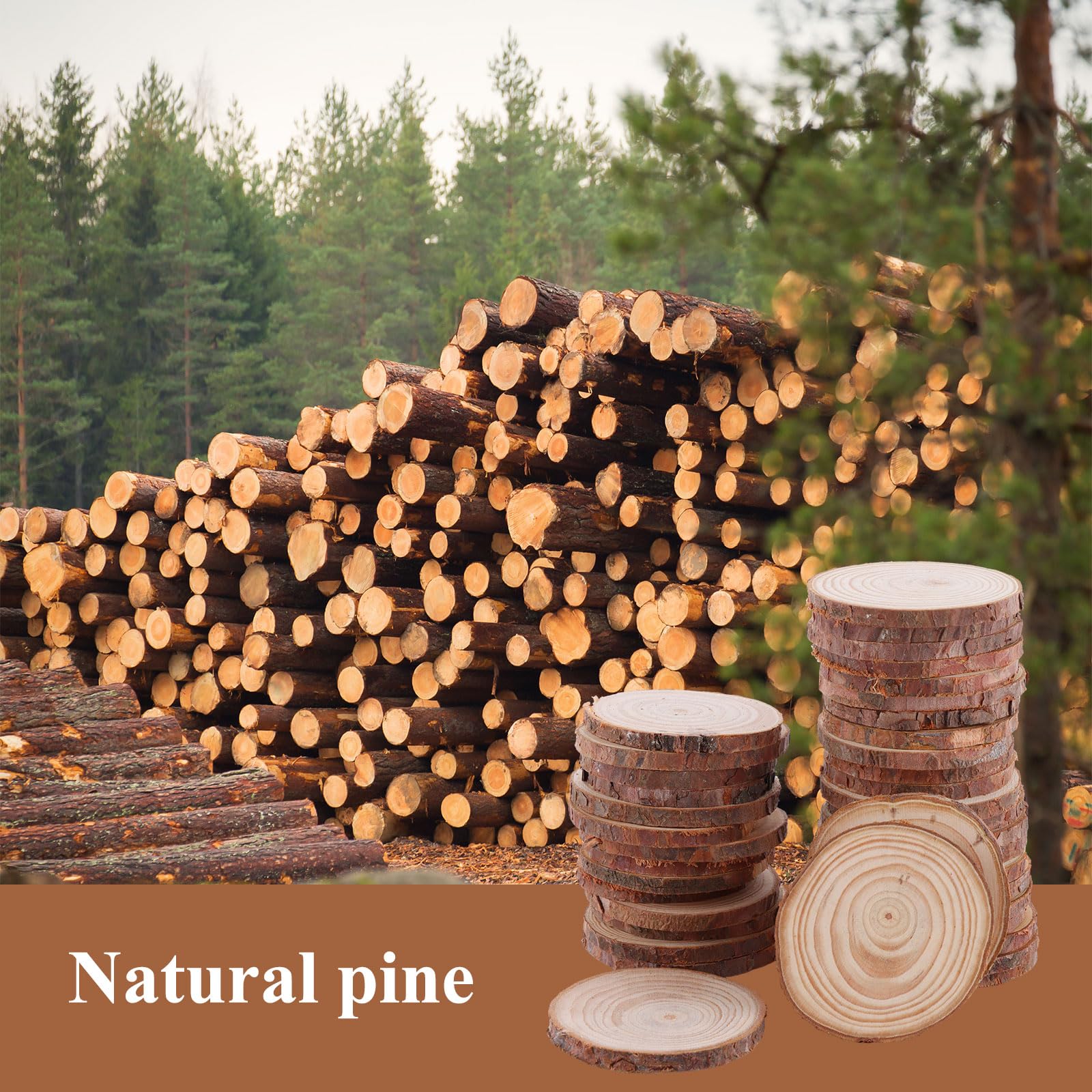 ASelected 50 Pcs Natural Pine Wood Slices for Crafts - 6-7cm Diameter, Sanded Surface | DIY Coasters & Decorations 3