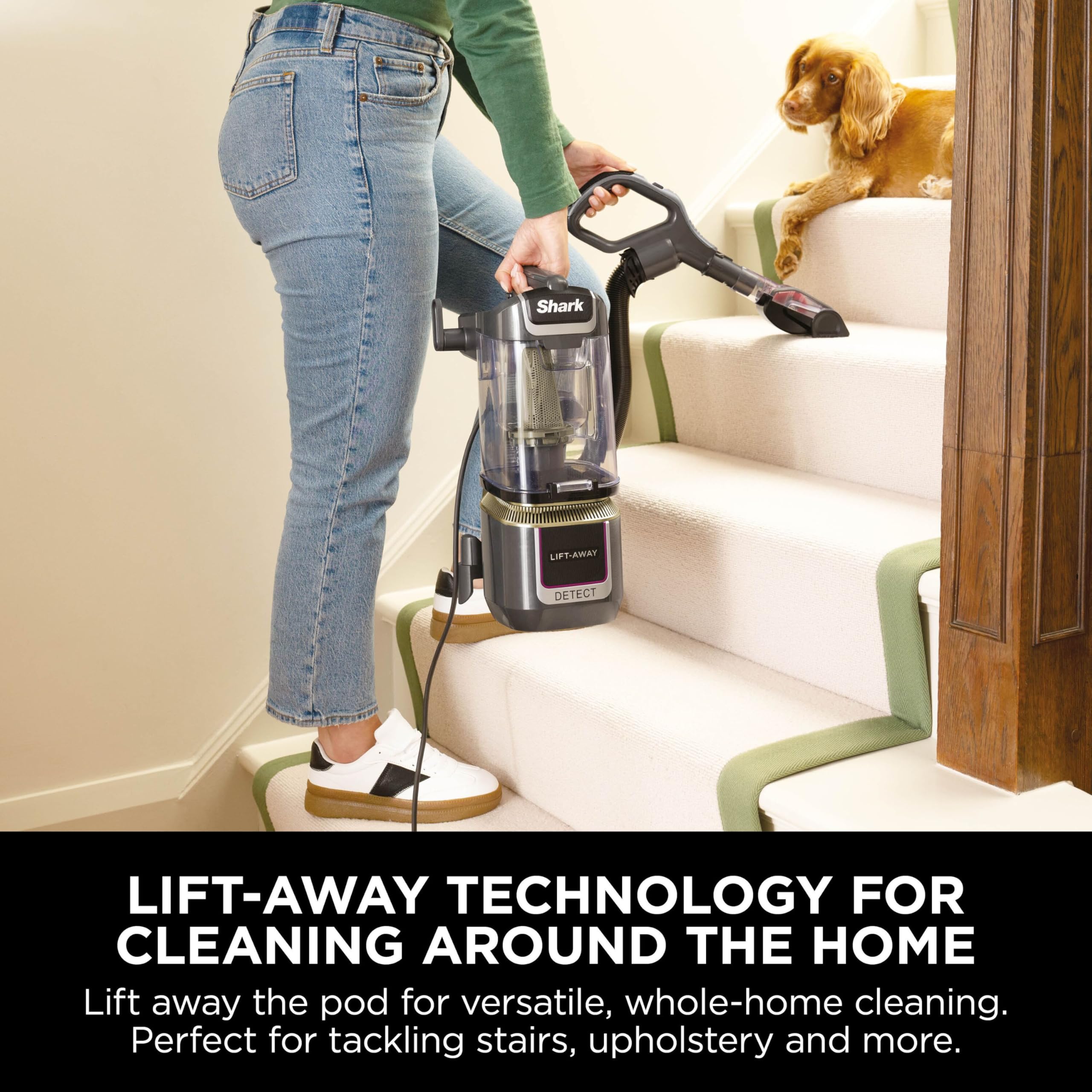 Shark Detect Corded Upright Vacuum Cleaner - Anti Hair Wrap Plus | DuoClean Detect | Lift-Away 6