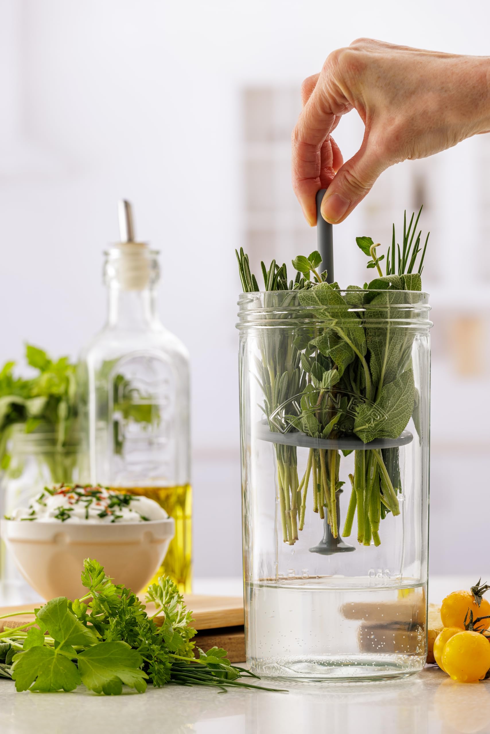 Kilner Herb Keeper Set - Keeps Herbs Fresh Up to 3 Weeks | 1L Wide Mouth Jar with Stainless Steel Lid 5