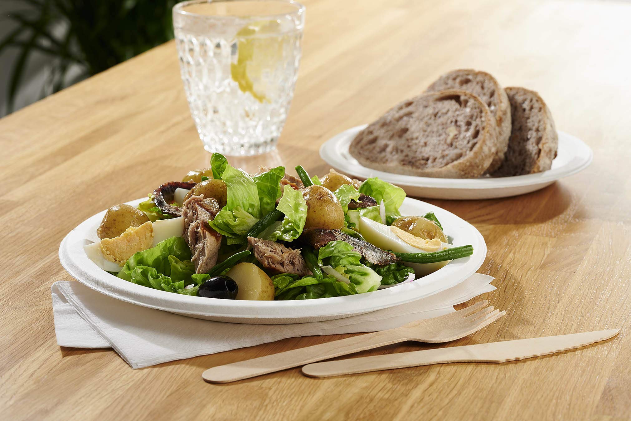 Caterpack Enviro Bagasse Plates - 50 Pack, 23cm Diameter | Durable & Compostable 2