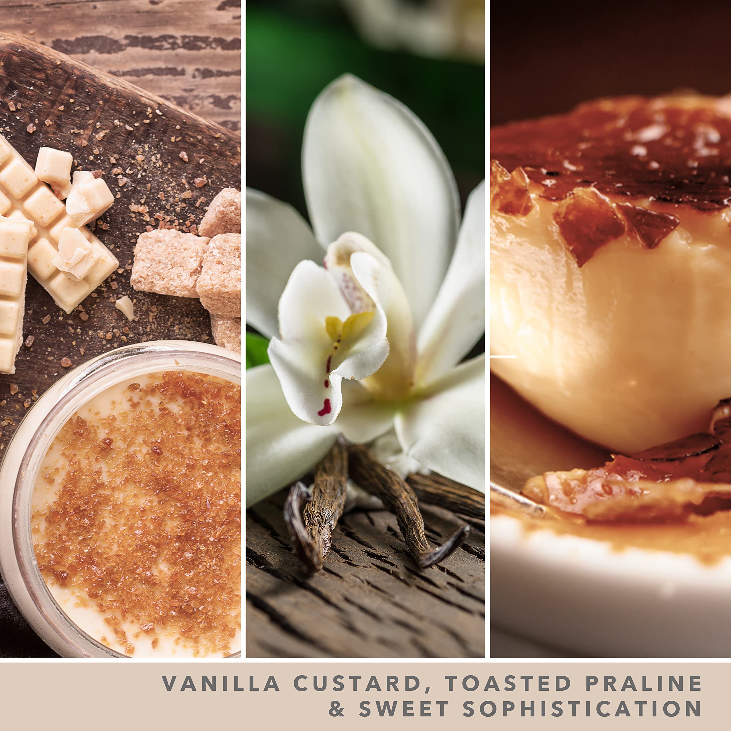 Yankee Candle Vanilla Crème Brulee Scented Candle | Studio Collection | 35-50 Hour Burn Time | 284g 3