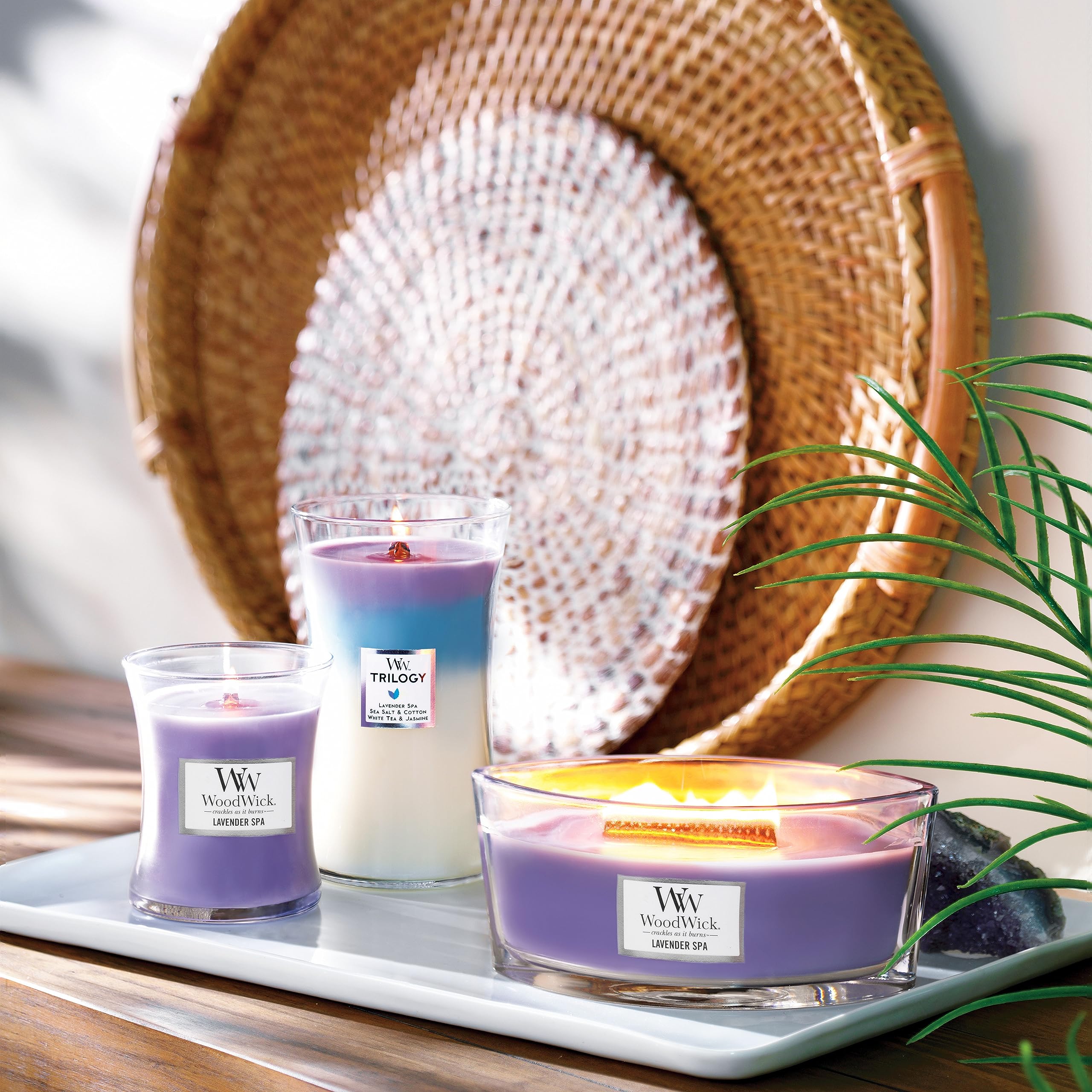 WoodWick Medium Hourglass Trilogy Scented Candle - Calming Retreat | Crackling Wooden Wick 8