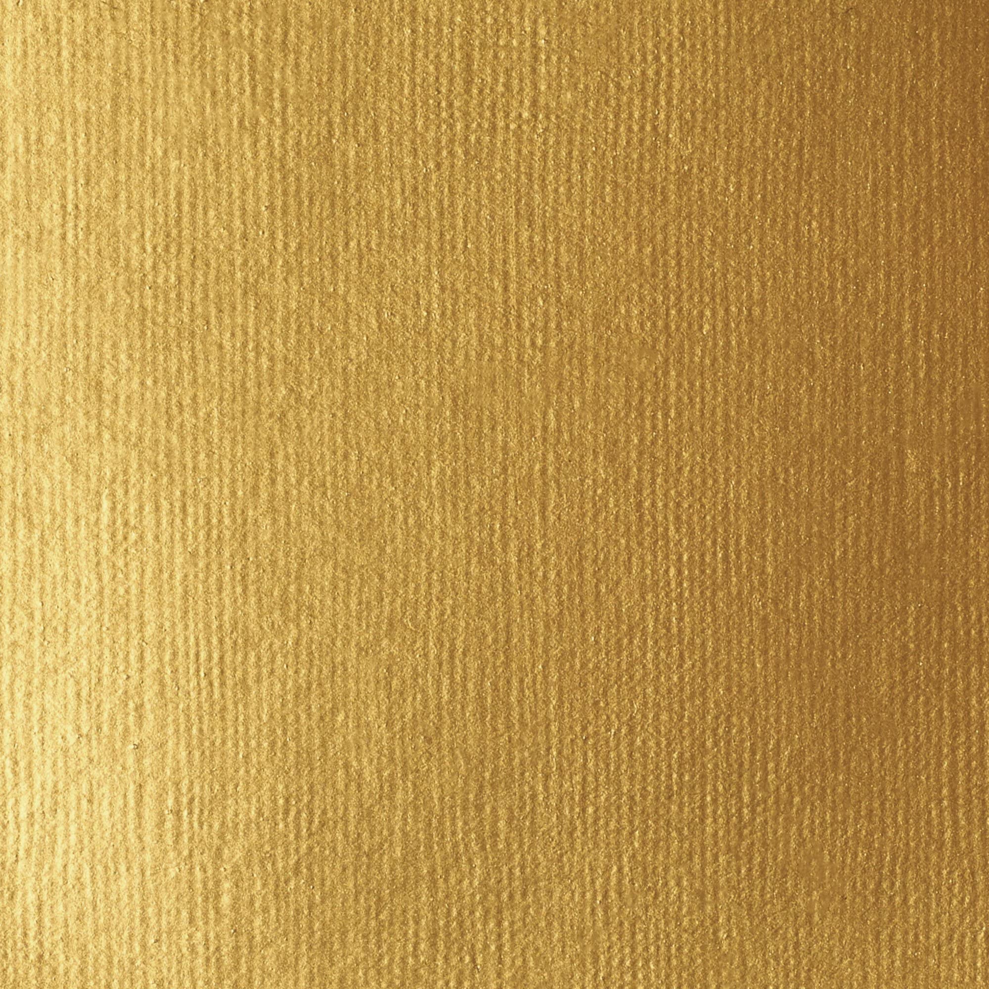 Liquitex BASICS Acrylic Paint - Gold | Artist Quality Pigments | 118 ml Tube 2