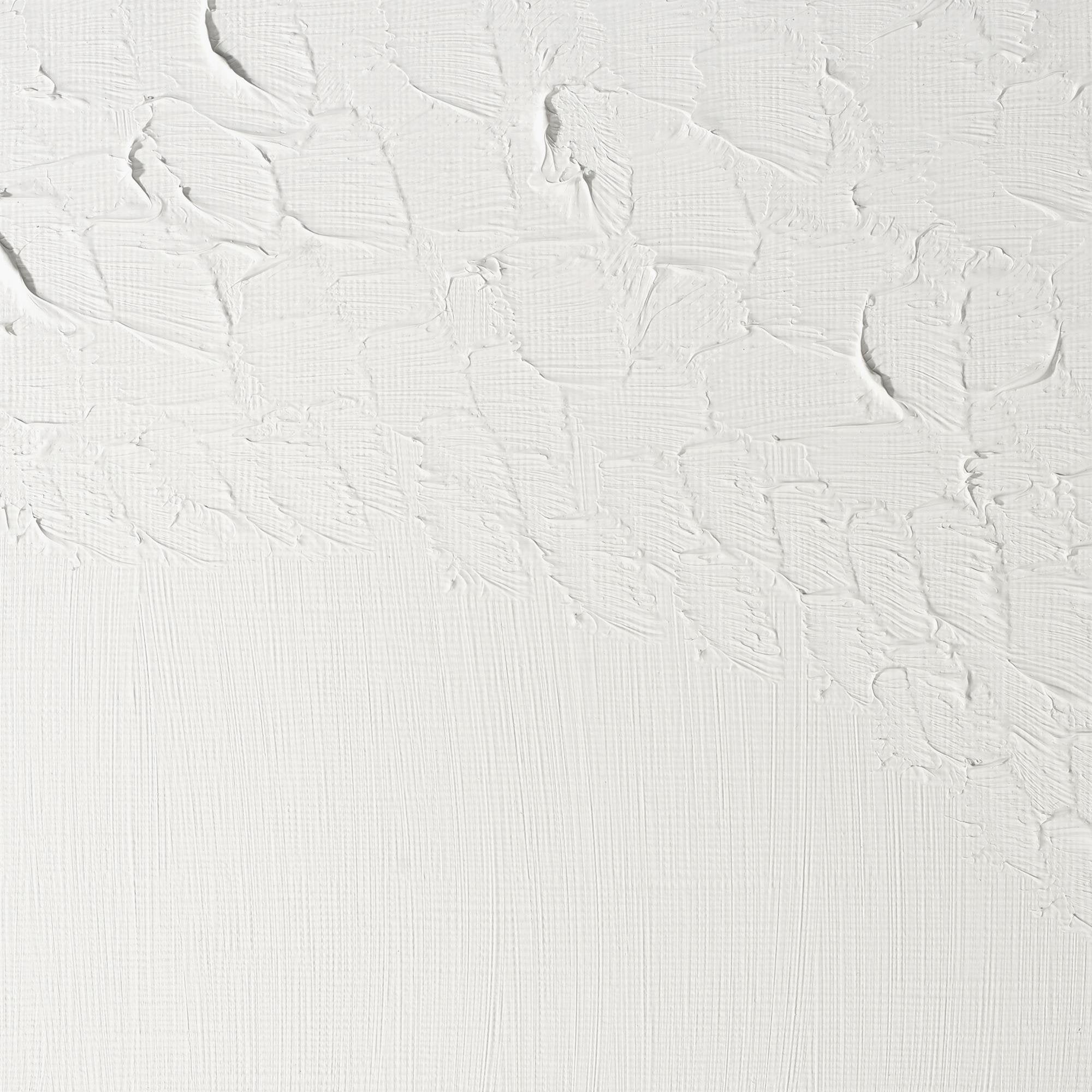 Winsor & Newton Griffin Alkyd Oil Paint - Fast Drying Titanium White | 200ml | Hard Coat Finish 2