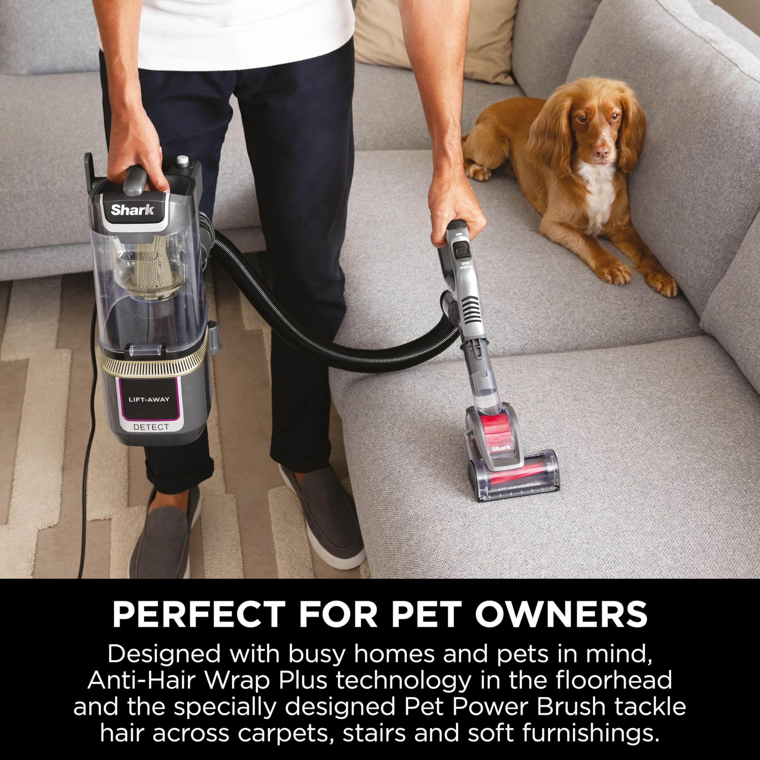 Shark Detect Corded Upright Vacuum Cleaner - Anti Hair Wrap Plus | DuoClean Detect | Lift-Away 7