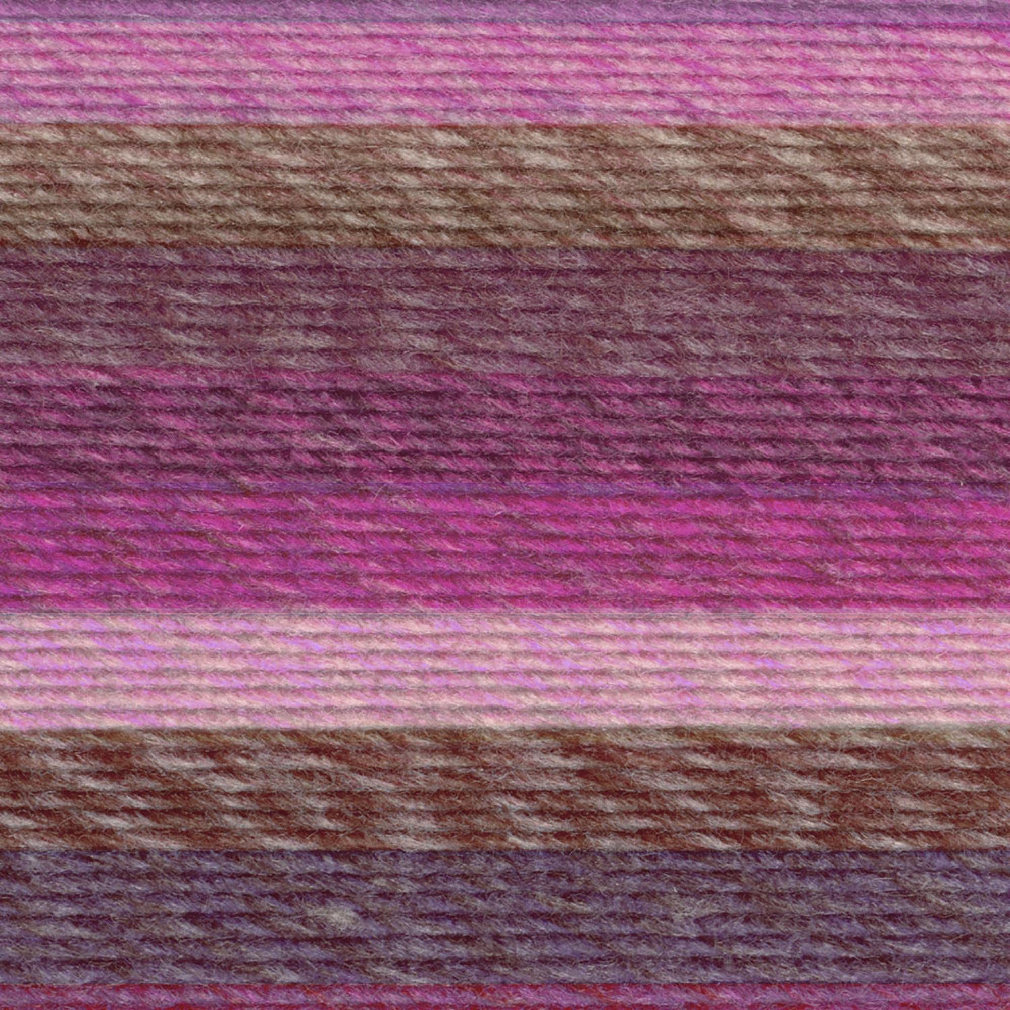 Lion Brand Yarn Ferris Wheel Roving Yarn - 100% Acrylic Worsted Weight | Wild Violets Color 2