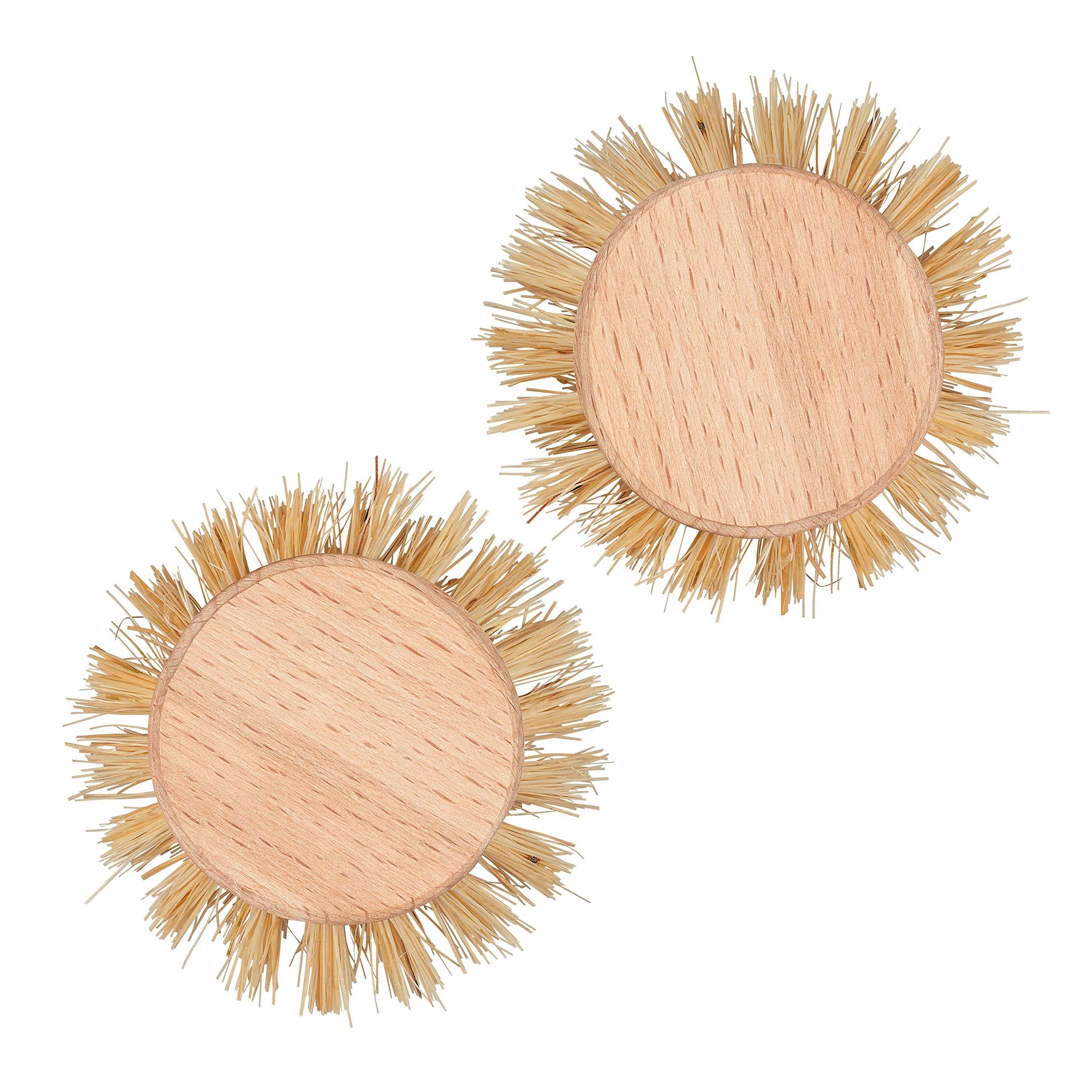 Elliott Dish Brush Replacement Heads - Natural Tampico Bristles | FSC Wood Base | Set of 2 2